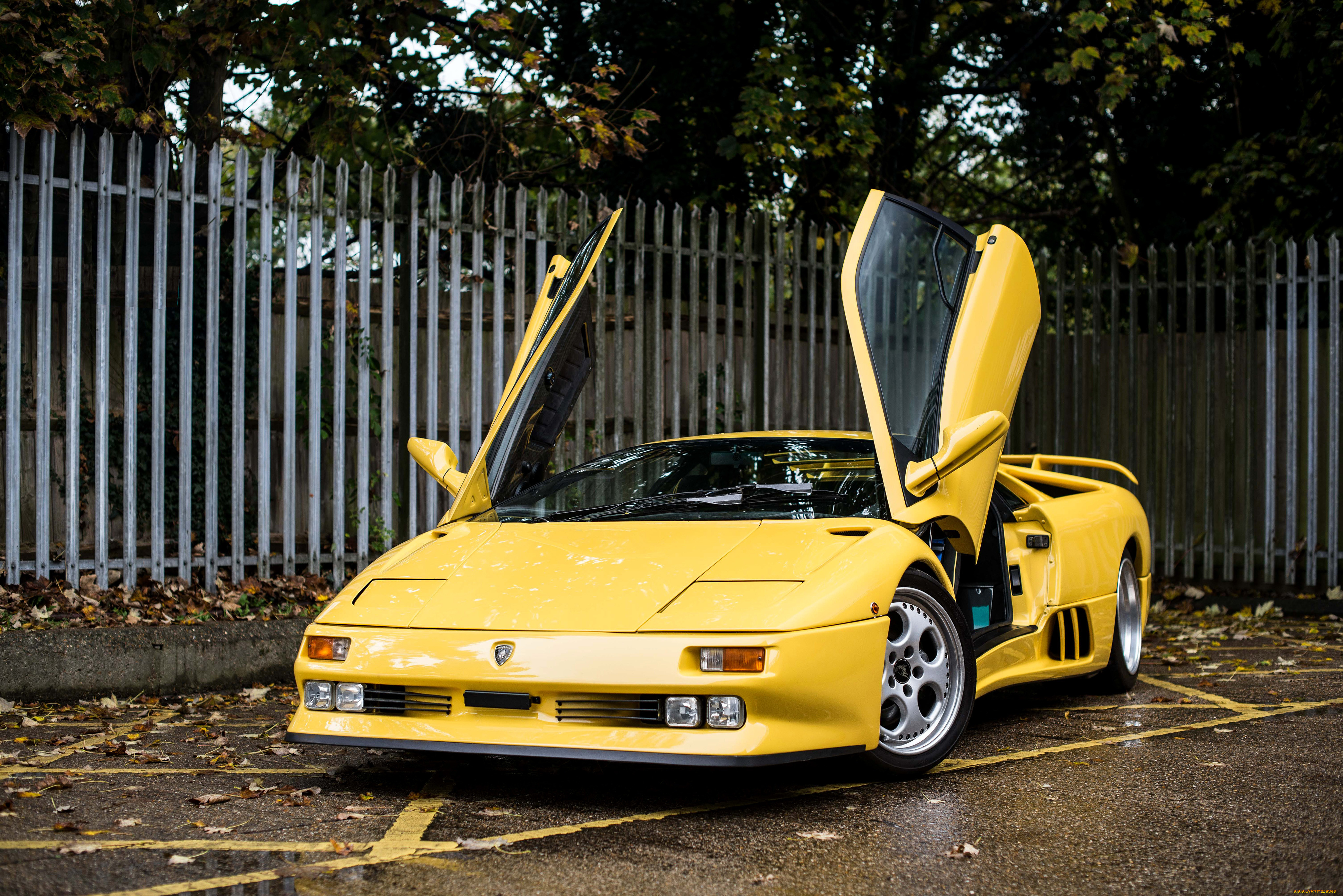 , lamborghini